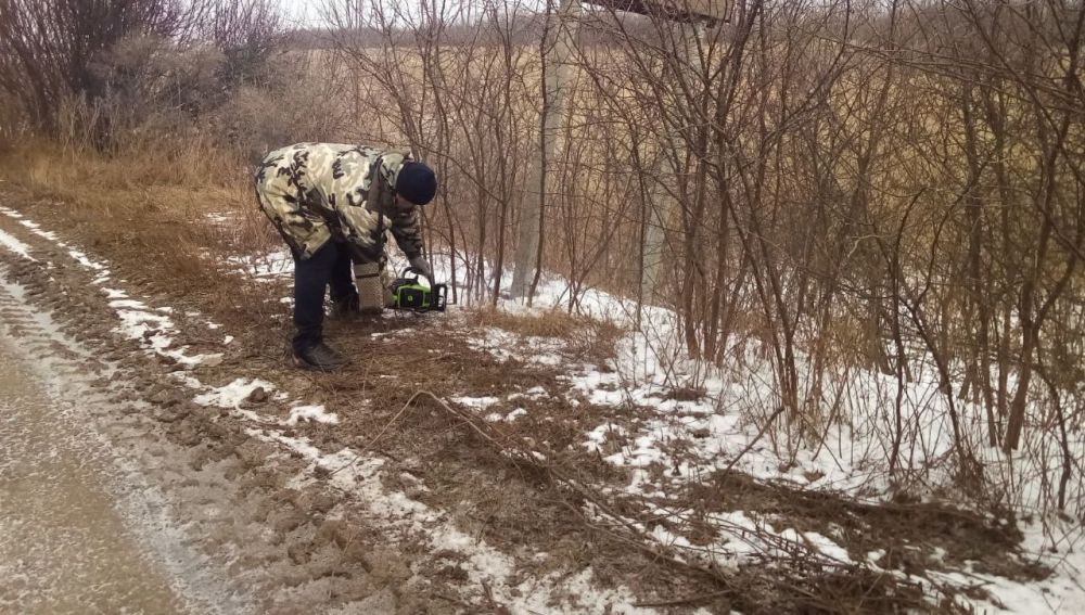 ����� �����: ������ ����������. ������ ������������ ����������� ������� � ������� � ����� �����, ���� �� ����, ���� � �.�....