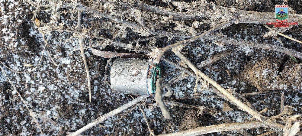 Украинские террористы обстреляли поселок Вергулевка городского округа Брянка