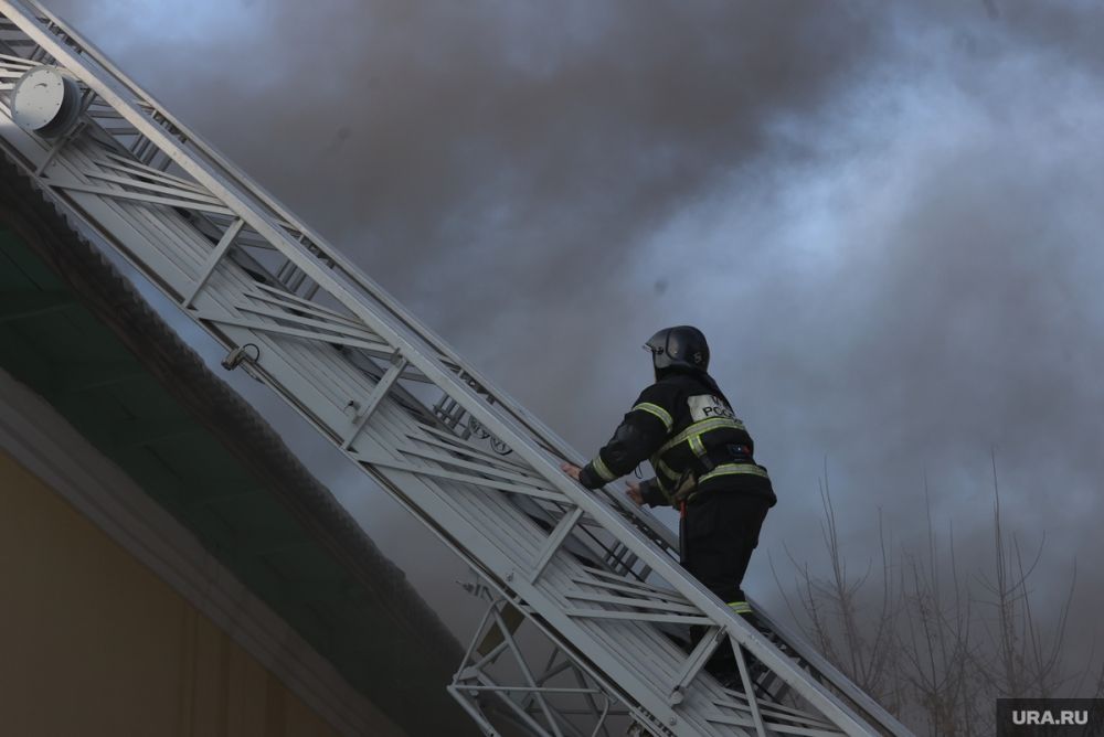 ���������� �������� ������ �� ������ ������� �������