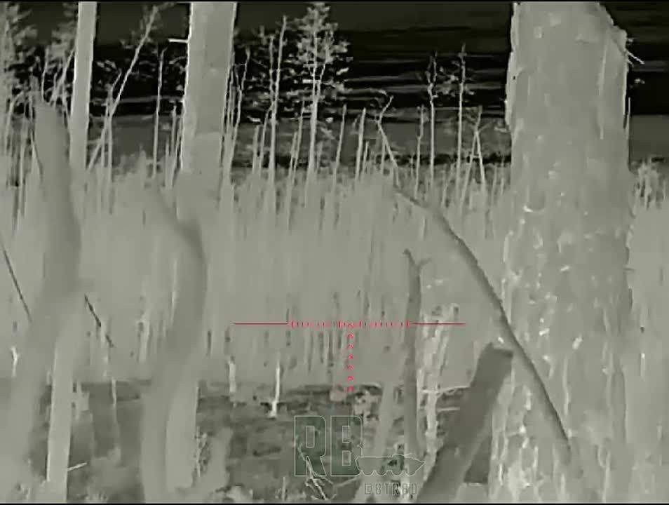 ����� �����: ������� " ��������" ����� ��������� ����� � ������������ �����������