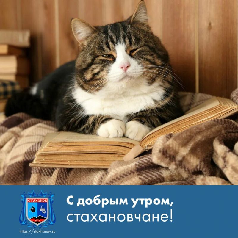 � ������ �����, ��������