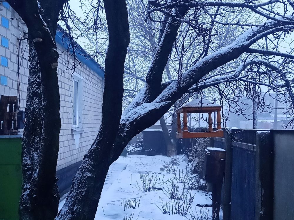 ������ ���������� ����������� ����������� ������-��������������� ��������� � 17 ���������� ��������� ����� �������� ������� � ������������� ����� ���������� ���� ����� - 2024�