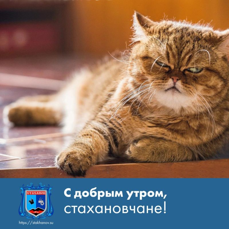 ������ ����, �����. �������: ����� ������ - ������ ������ ��� ������� ��������� � � Telegram #�������� #�������_���������