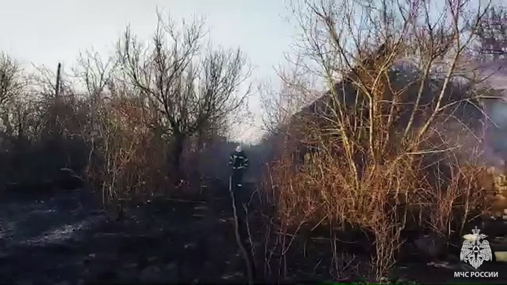 29   15:37   101 .          ,  : . , . ,       