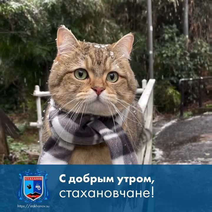 � ��� ����� ��� ������� �������