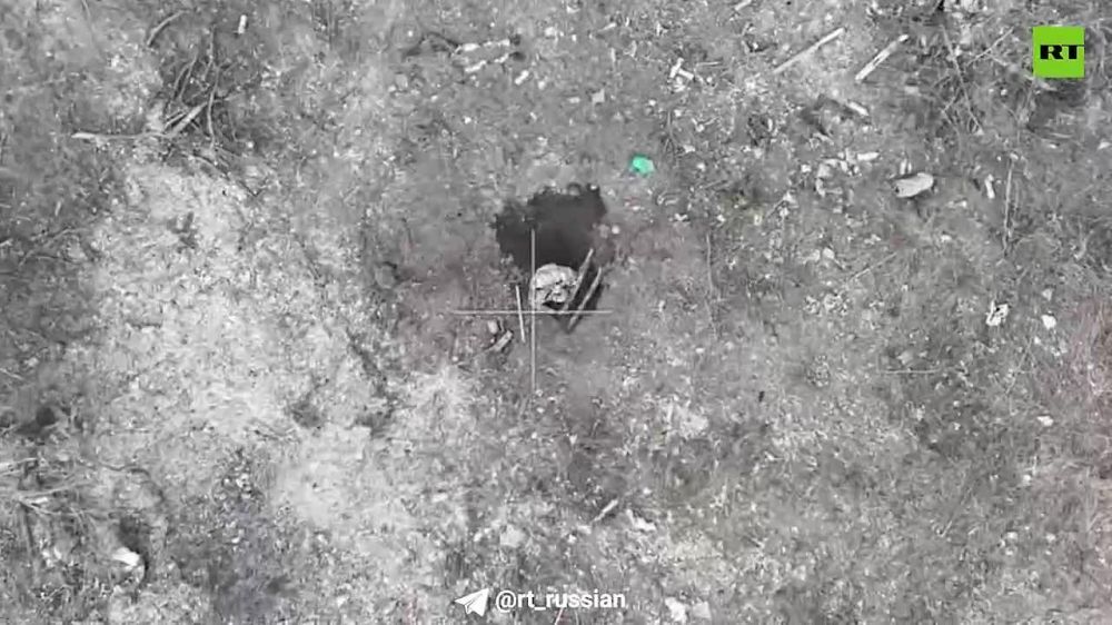 ���������� ���� ���������� � �������� ������� � ����������� � ���