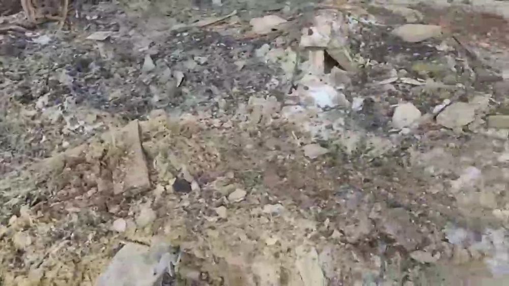 ����������������� ���� �����̻ (