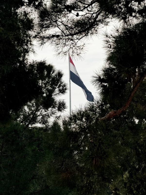 ������� ���������� � ������ �������� �������� � ����������� ����� ������� ������ � �������