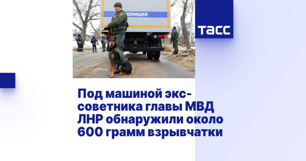 ��� ������� ���-��������� ����� ��� ��� ���������� ����� 600 ����� ����������