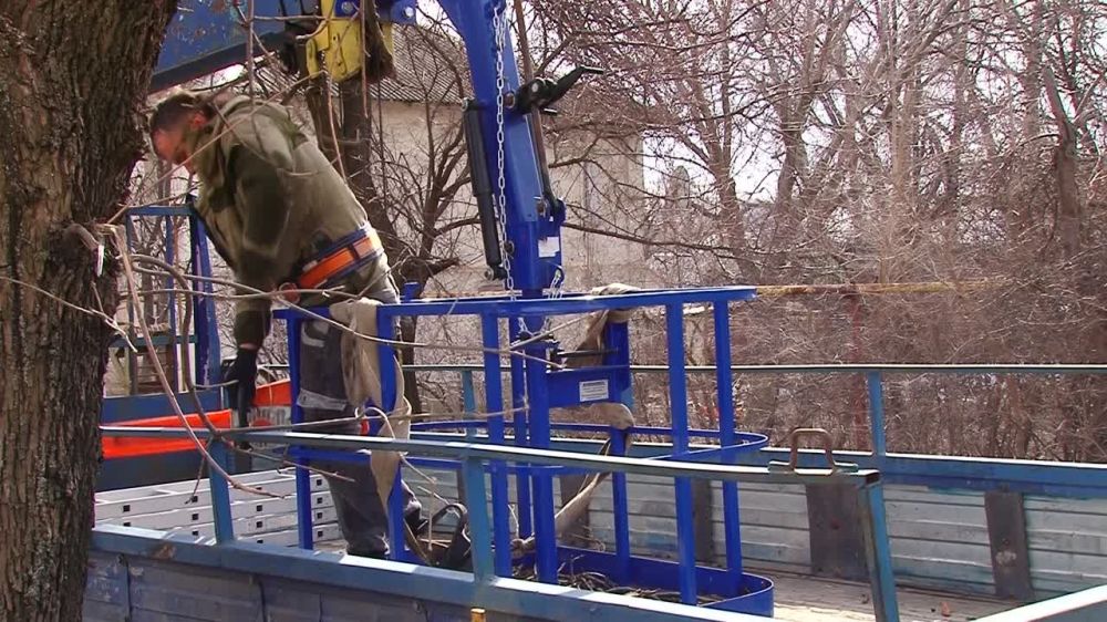 � ������������������ ������� ���������