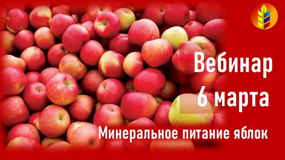 ���������� ��������� ��� �� ������� � ����������� ������� �������� ��������