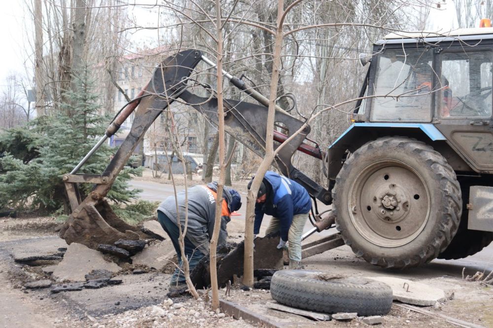 ������ ��������: ��� ���� ������ �� ������ ������� �������� ���������� �������� ����� �� ��. �����������