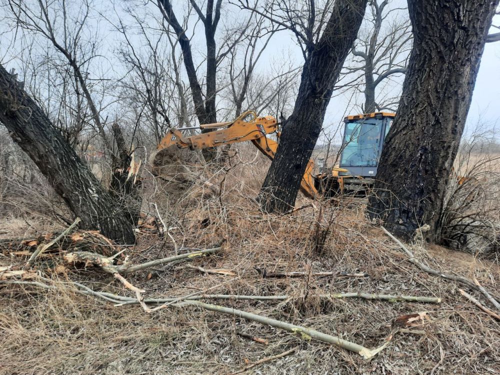 ������� �������: ����� � ���� ������� ������ �� ��� ���������� ������ ������� ����������