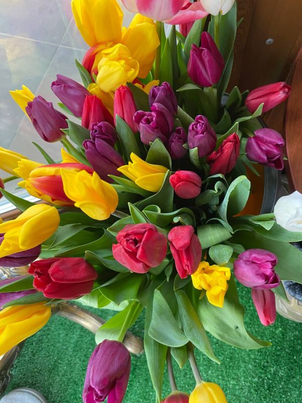 �������� �����: ������� ��� ������ �������� ������������� ������� ����