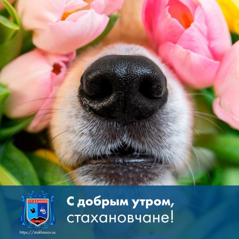 � ������, �������� �����, ������� ������!!!
