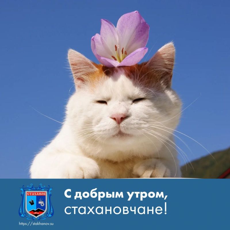 � ������ �����, ��������