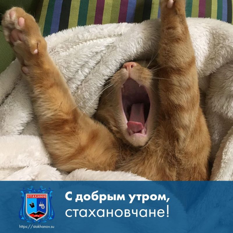 ������ ����, �����. ��� ���� ��������