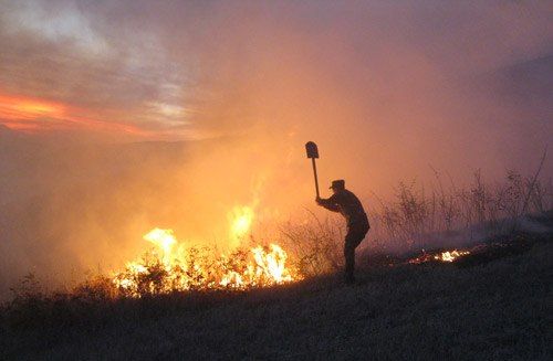 Информация по пожарам за прошедшую неделю