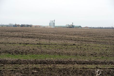 ������� ��� �������� 12 ������� �� ������� ����� ��� 100 ���. � �������