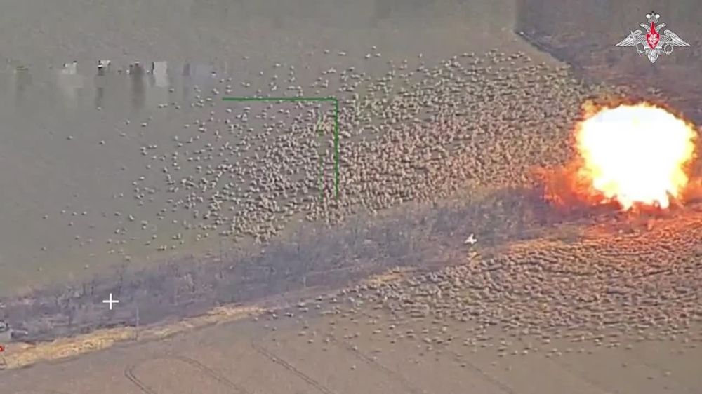 ������� ����� ���������� ������ HIMARS �� ��������� ���� ����