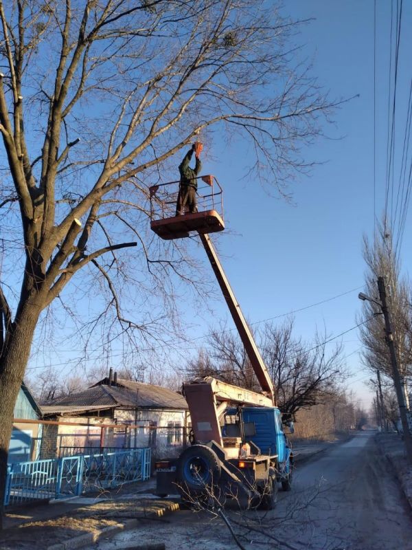 На улицах Ирмино продолжается опиловка деревьев