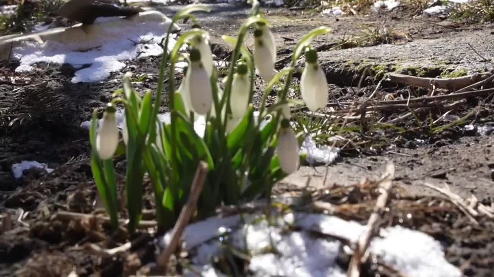 �������� ���������: � ���������� ������������� ������ ���� ��������� ����������� �� ������� ���������� ���������� ���������