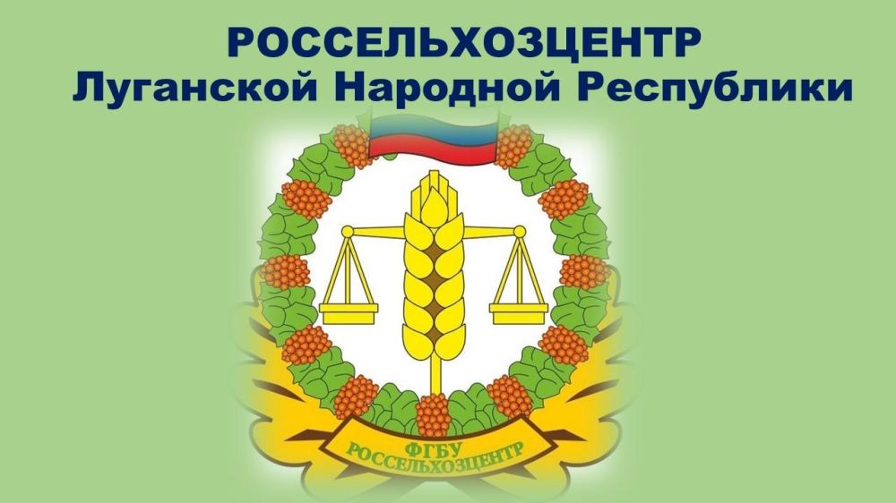 ���� ���������������� ���������� ������������� ����������� ���� ������ �����