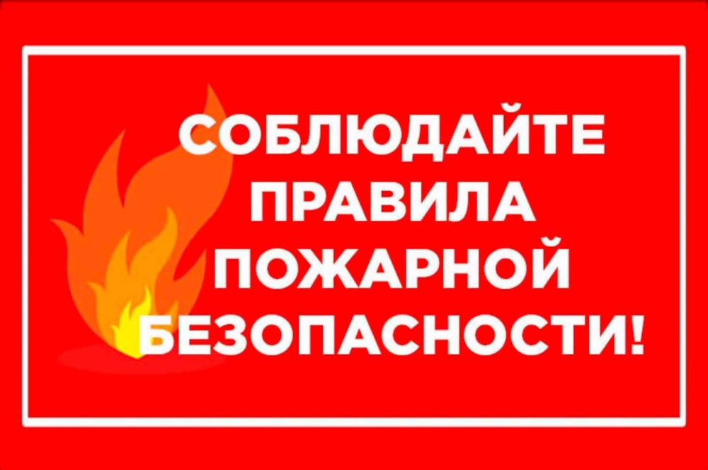 � ������ �������� ���� �� ���������� ��������-���������� �������������� ������ ��������� 17 ������� � ��������� �����������, �� ��� 8 ������� ����� ����� ������ �� ��������� ����� �� ����� ������� 37,9 ��
