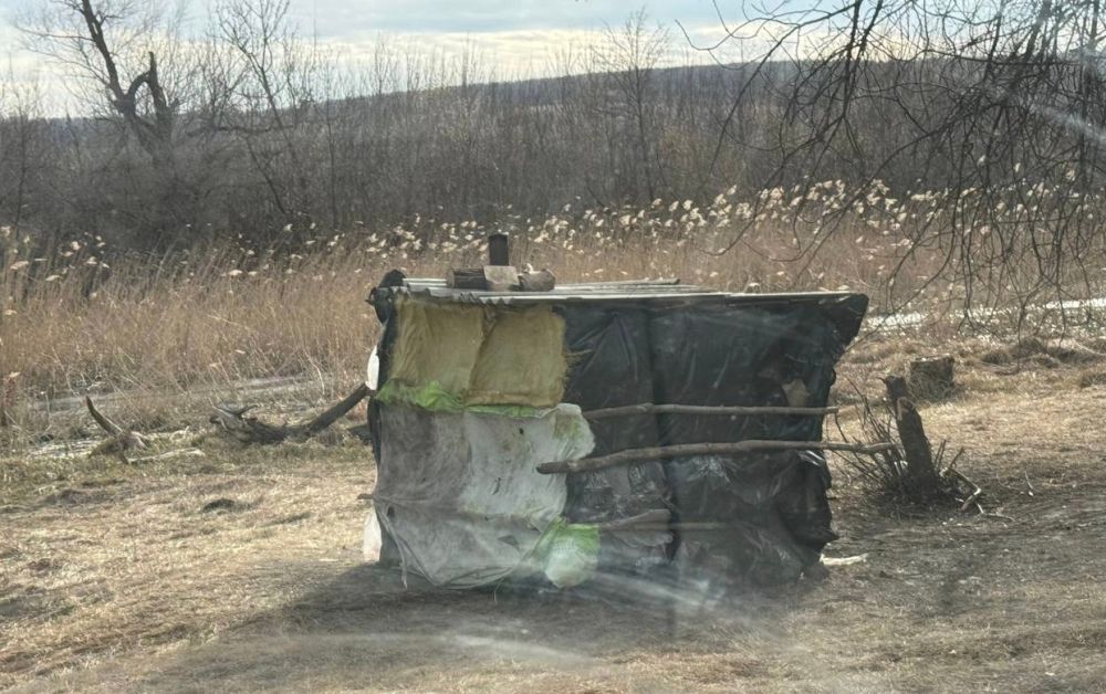 ���� �����: �� ��������� ��������� � �������