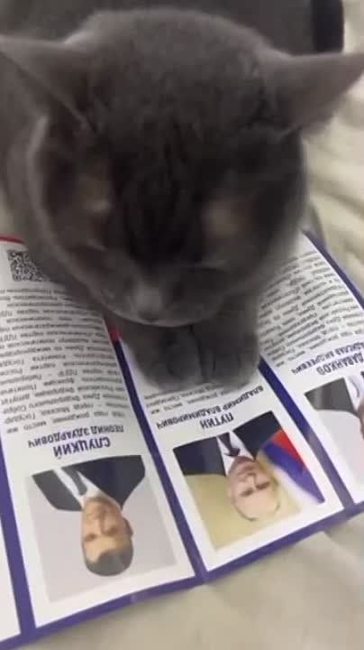 ������ �������: ������ �� ������