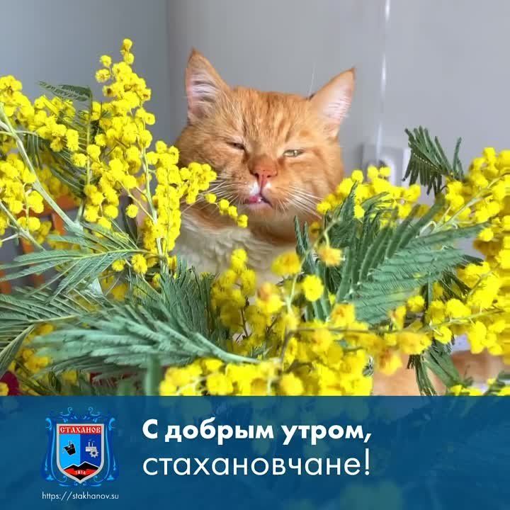 ���� - ��� �������, ��� �� ���-�����, �� ��� ��� ������� ���������� ��������� ����� � ������ ������