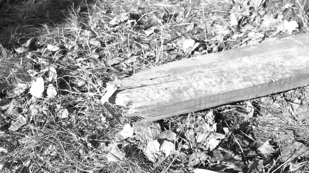 ���������� ������ �������������� ����������� �� ������� ���������������