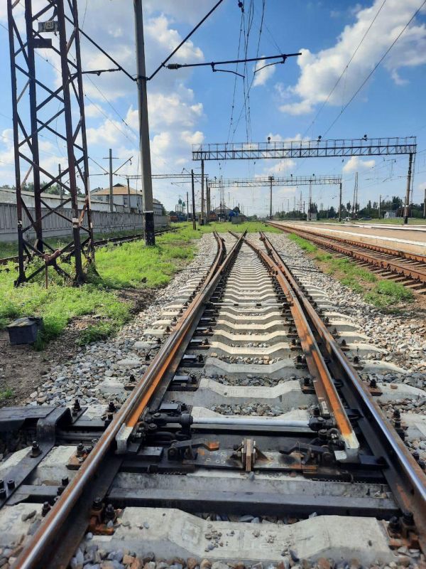 �������� ������ �� �������-��-���� � ���� ����� ���������� ������ ���������� �������� �� ����� 2024 ����