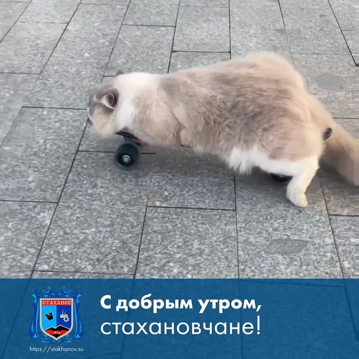 ����� ������ - ������ ������!