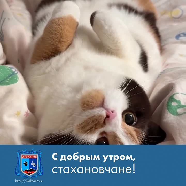 ����������. ���� �������� ����������