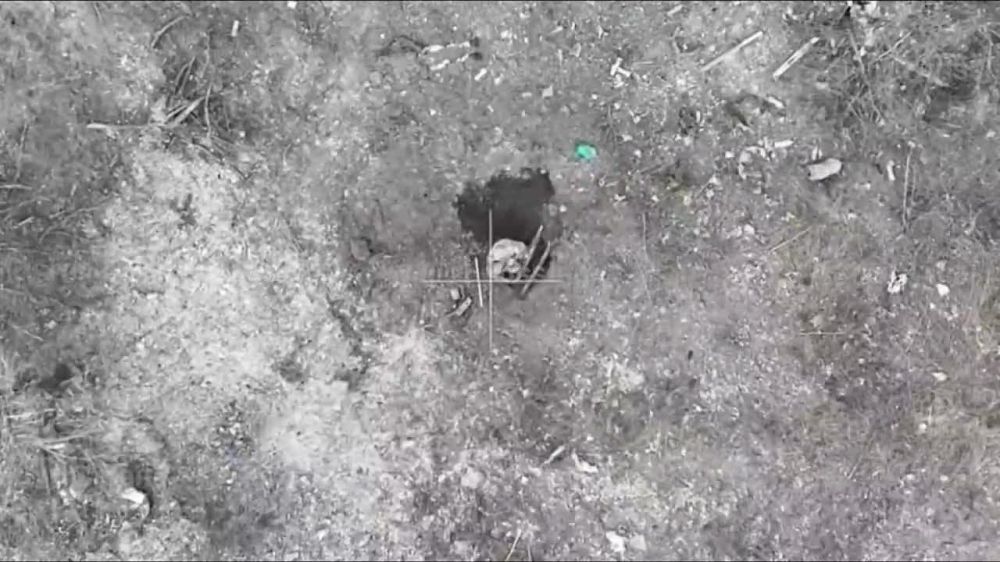 ��������� �� ����������� (���)