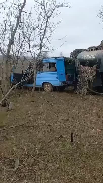 ������ �������: ������ ��������: ��� ���