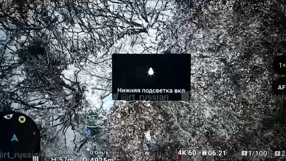 ������ ���� ���������� ������� Starlink � ������ ����������� ��� � ������������ ����������� (���)