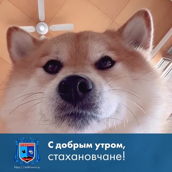 ������ ����, ��������. ������� �� �������� ������ ������� ������