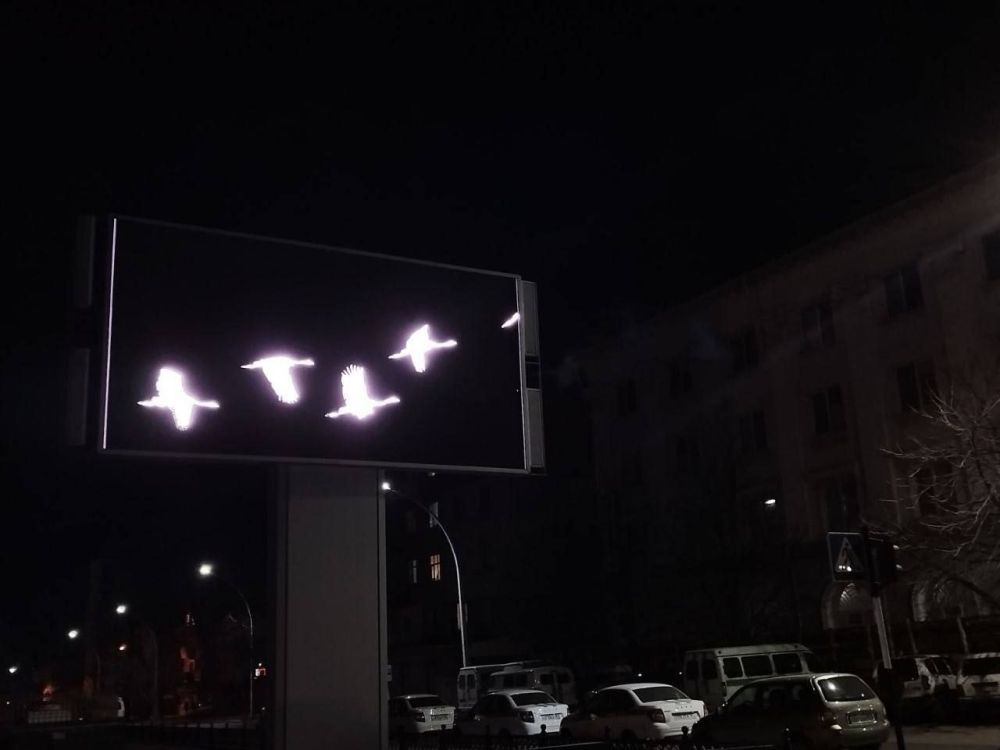 Ольга Бас: В память о погибших, журавли полетели по всей стране города присоединяются к акции, которая стартовала у стихийного мемориала на месте трагедии в «Крокус Сити Холле»