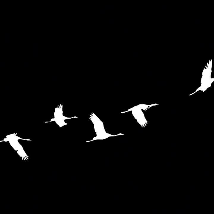 ������� �������: �������, 24 �����, � ���� ����������������� ������, � 19:55 �� ������ ������� ���� ���� ��������� �������� ��������