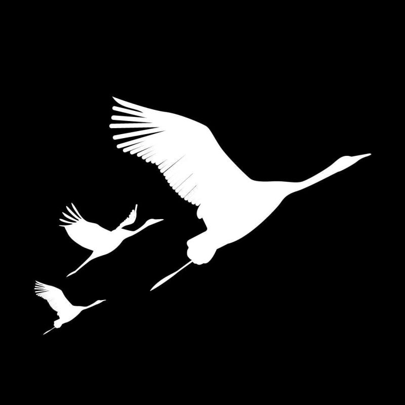 ������ ��������: �� ���� ������� ������. ���� ���� � �������� � ������������