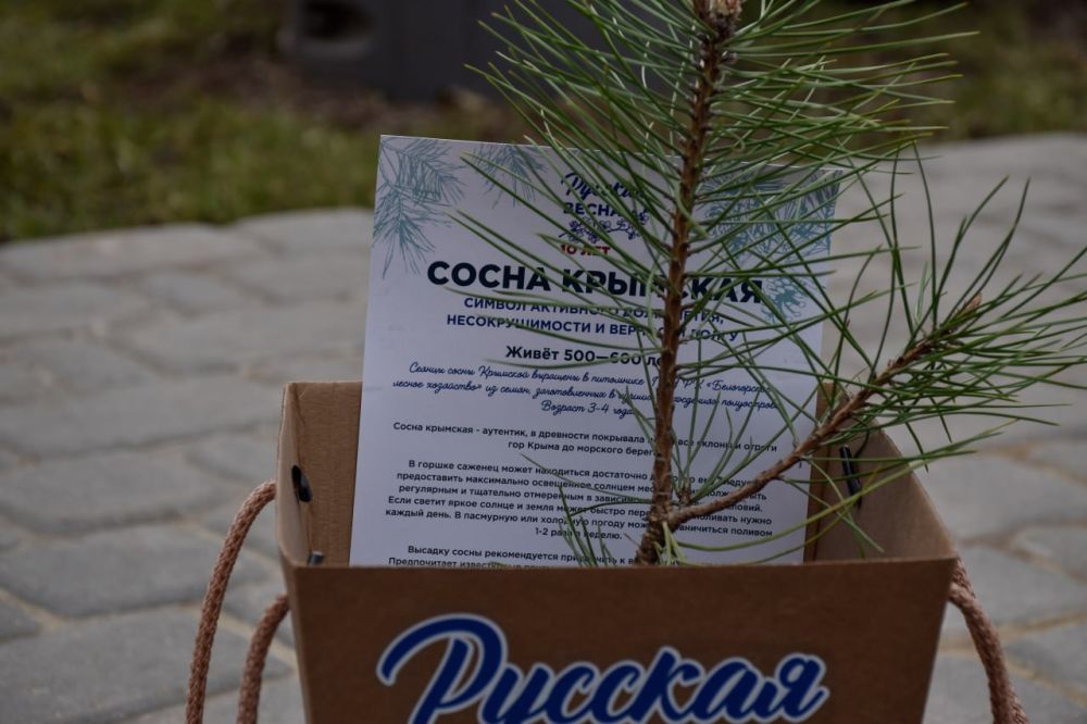 � �������� �������� ������� �������� �����, ���������� ��������� �������� ���������� ������