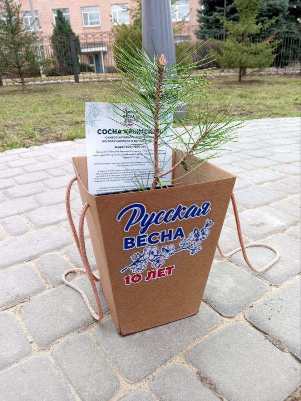 � ������ �������� �������� �������� ����� � ������� �� ���������� ���� � ������ �����������