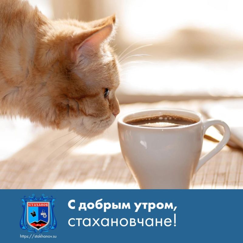 � ������ �����, �����. ���� ���������� ���������� � ������ ������� �������� ��� ������� ��������� � � Telegram #�������� #�������_���������