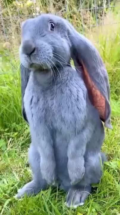 ���, ����� �������. #������������