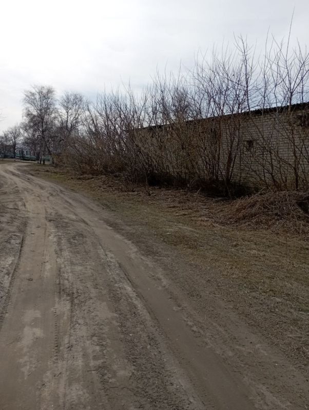 �������� ���������: ������� � ����������� ������� � �������������� ��������� ����������� ������� ��������, ������� ���������� 20 ����� 2024 ����, � ���������� ������� � ����� ���