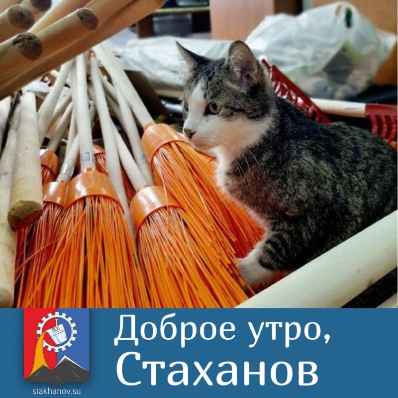 ����� �������� �������. ������ ������� ������� �� +18 ��� ������� ��������� � � Telegram #�������� #�������_���������