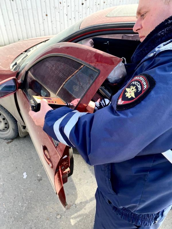���������� ���������������� ��������� ���������������� ������ �����������