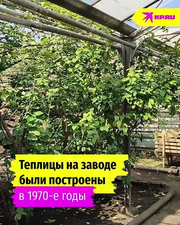 ������ ������� ������� ������ � ��� �� ����������, � ��������� �� ������ ���������